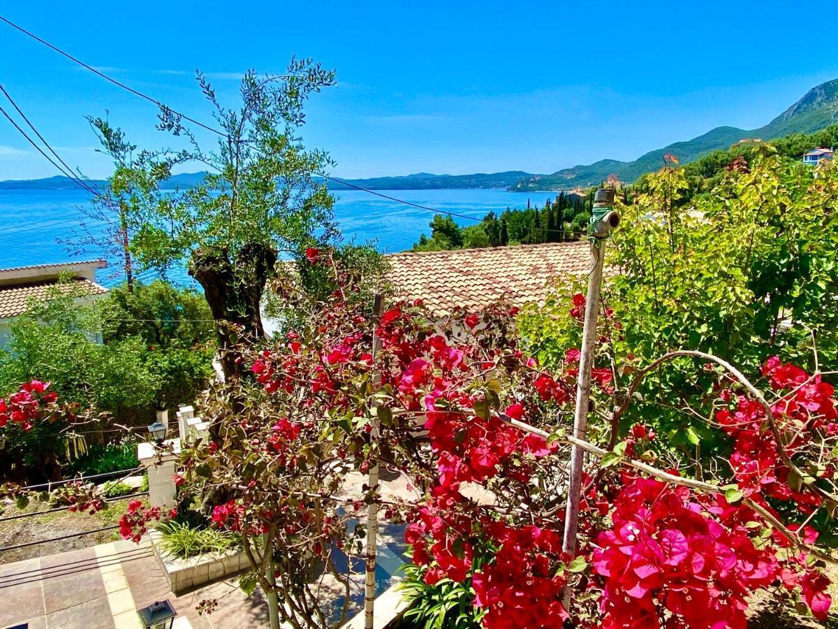 Nissaki Apartments And Vasilis House Nisaki  외부 사진